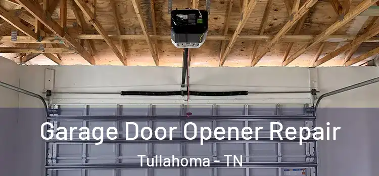  Garage Door Opener Repair Tullahoma - TN