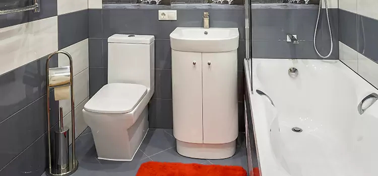 Hansgrohe Shaving Mirror Tullahoma